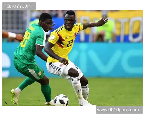 尼日利亚与马达加斯加的激烈对决揭示非洲足球的新篇章